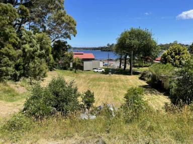 Residential Block For Sale - TAS - Strahan - 7468 - Harbour The Dream  (Image 2)