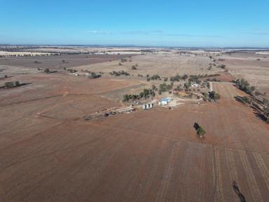 Mixed Farming For Sale - NSW - Beckom - 2665 - Purchase now for the 2026 cropping season  (Image 2)
