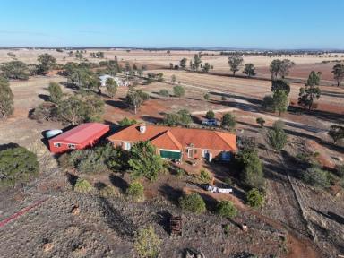 Mixed Farming For Sale - NSW - Beckom - 2665 - Purchase now for the 2026 cropping season  (Image 2)