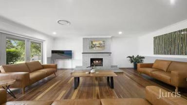 Lifestyle For Sale - NSW - Pokolbin - 2320 - Vineyard Escape - Hunter Valley Wine Country  (Image 2)