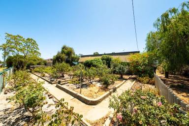 House For Sale - WA - North Dandalup - 6207 - Prime corner 2,424sqm Development Opportunity – Subdivide & Prosper (STCA) (Image 2)