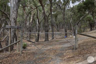 Residential Block For Sale - VIC - Dereel - 3352 - 5 Acres of Elevated Rural Living With Dream Home Potential  (Image 2)