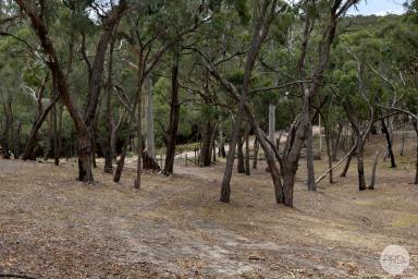 Residential Block For Sale - VIC - Dereel - 3352 - 5 Acres of Elevated Rural Living With Dream Home Potential  (Image 2)