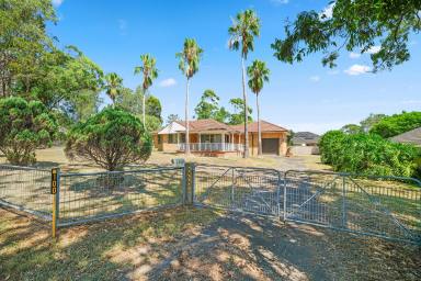 House For Sale - NSW - Raymond Terrace - 2324 - HUGE 1240SQM BLOCK – RARE OPPORTUNITY IN RAYMOND TERRACE (Image 2)