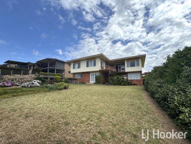 House For Lease - NSW - Inverell - 2360 - Large Family Home with Stunning Views  (Image 2)