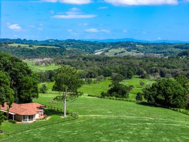 House For Sale - NSW - Cumbalum - 2478 - Legacy Rural Holding - Strategic Urban Growth Area (SUGA)  (Image 2)