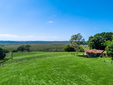 House For Sale - NSW - Cumbalum - 2478 - Legacy Rural Holding - Privacy, Views & Scale.  (Image 2)