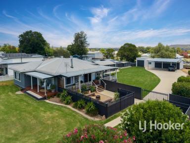 House For Sale - NSW - Inverell - 2360 - Modern Family Living with Space, Style & Versatility  (Image 2)