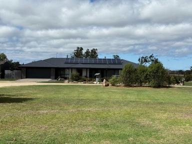 House For Sale - QLD - Glen Niven - 4377 - Secure this quality Stanthorpe home on 12 acres  (Image 2)