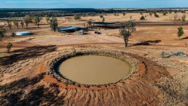 Livestock For Sale - QLD - Tingun - 4455 - INSTITUTIONAL SCALE GRAZING AND DRYLAND CROPPING OPERATION  (Image 2)