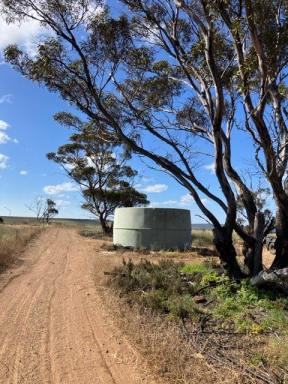 Residential Block For Sale - WA - Ravensthorpe - 6346 - Buy Dirt... They're not making any more! (Image 2)