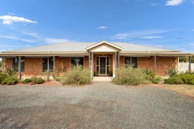 House For Sale - VIC - Mildura - 3500 - Hobby farm close to town!  (Image 2)