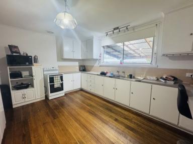 House For Sale - TAS - Zeehan - 7469 - Central Zeehan Living on a Huge Flat Block  (Image 2)