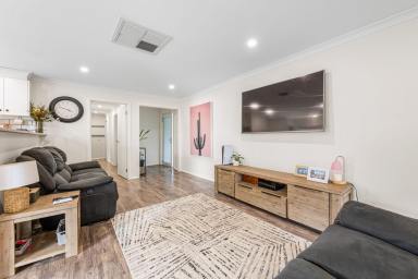 House For Sale - VIC - Merbein - 3505 - WHAT ARE YOU WAITING FOR  (Image 2)