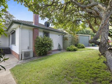 House For Sale - NSW - Bega - 2550 - NEAT AS A PIN, FULLY RENOVATED CORNER BLOCK WITH AN ENTERTAINER'S COURTYARD  (Image 2)