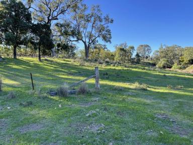 Lifestyle For Sale - NSW - Sandy Hollow - 2333 - 100ACRE LIFESTYLE LOT WITH POWER AND CREEK FRONTAGE (Image 2)