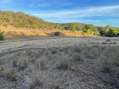 Lifestyle For Sale - NSW - Sandy Hollow - 2333 - 100ACRE LIFESTYLE LOT WITH POWER AND CREEK FRONTAGE  (Image 2)
