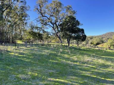 Lifestyle For Sale - NSW - Sandy Hollow - 2333 - 100ACRE LIFESTYLE LOT WITH POWER AND CREEK FRONTAGE (Image 2)
