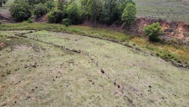 Lifestyle For Sale - NSW - Sandy Hollow - 2333 - 100ACRE LIFESTYLE LOT WITH POWER AND CREEK FRONTAGE  (Image 2)