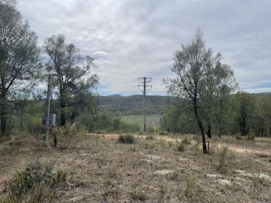 Lifestyle For Sale - NSW - Sandy Hollow - 2333 - 100ACRE LIFESTYLE LOT WITH POWER AND CREEK FRONTAGE  (Image 2)