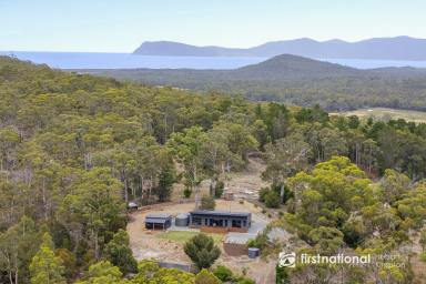 House For Sale - TAS - Great Bay - 7150 - North-Facing Coastal Living with Sweeping Channel Views - New Build, Nothing Left to Do!  (Image 2)