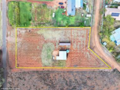 Residential Block For Sale - NSW - Coomealla - 2717 - LAND OF OPPORTUNITY  (Image 2)