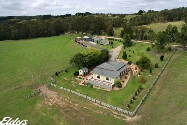 Mixed Farming For Sale - VIC - Willung South - 3847 - "LAMANA" - 152 ACRES (Image 2)