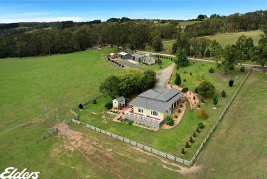 Mixed Farming For Sale - VIC - Willung South - 3847 - "LAMANA" - 152 ACRES (Image 2)