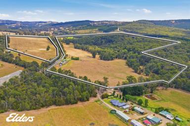 Mixed Farming For Sale - VIC - Willung South - 3844 - "LAMANA" - 152 ACRES  (Image 2)