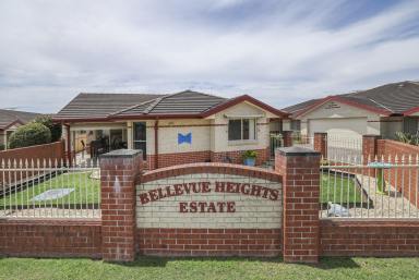 Villa For Lease - NSW - South Grafton - 2460 - 2 BEDROOM VILLA AVAILABLE  (Image 2)