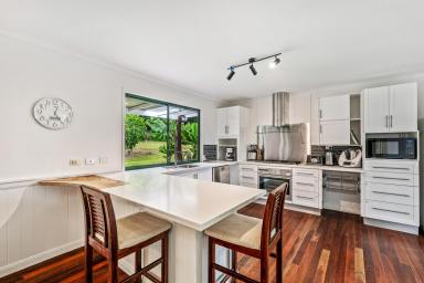 Acreage/Semi-rural For Lease - QLD - Black Mountain - 4563 - Spacious Three bedroom Hinterland Retreat With Mowing Included  (Image 2)