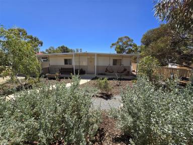 Lifestyle For Sale - WA - Trayning - 6488 - Welcome to your quiet Wheatbelt Haven  (Image 2)