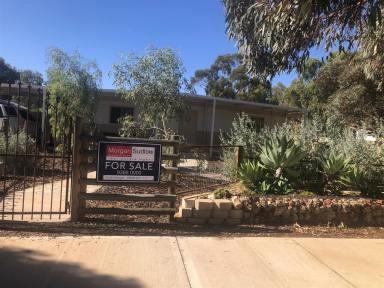 Lifestyle For Sale - WA - Trayning - 6488 - Welcome to your quiet Wheatbelt Haven  (Image 2)