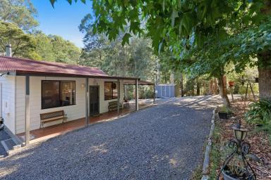 House For Sale - VIC - Noojee - 3833 - TICKING ALL THE BOXES  (Image 2)