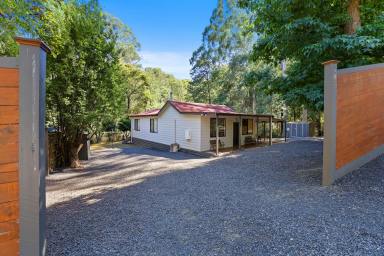House For Sale - VIC - Noojee - 3833 - TICKING ALL THE BOXES  (Image 2)