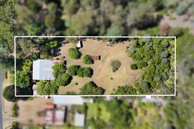 House For Sale - VIC - Noojee - 3833 - 1 ACRE - LIFESTYLE LIVING  (Image 2)