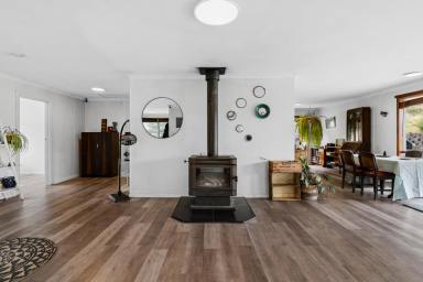 Acreage/Semi-rural For Sale - TAS - Saltwater River - 7186 - Seven Acres of Serenity, Beautiful Dam & Spacious Five Bedroom Home (Image 2)