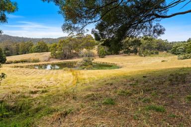 Acreage/Semi-rural For Sale - TAS - Saltwater River - 7186 - Seven Acres of Serenity, Beautiful Dam & Spacious Five Bedroom Home (Image 2)