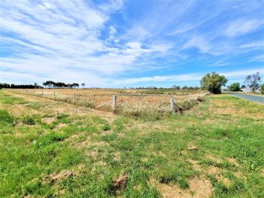 Residential Block For Sale - VIC - Kerang - 3579 - HUGE RURAL BLOCK FOR SALE  (Image 2)