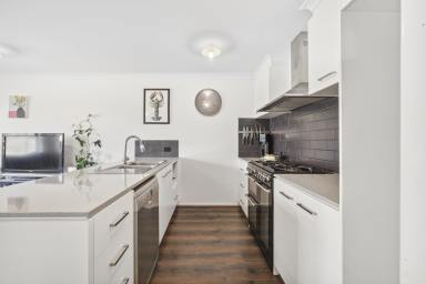 House Leased - VIC - Apollo Bay - 3233 - Modern Coastal Home – Close to Beach & Cafes (Image 2)