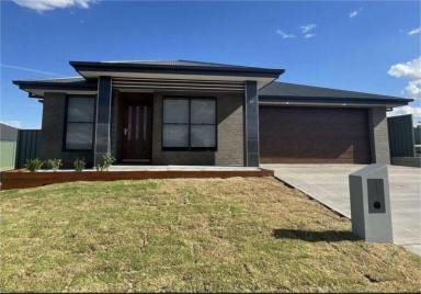 House For Sale - NSW - Dubbo - 2830 - Near-New Designer Home on 878sqm with Solar Built Oct 2023 by GJ Gardner Homes  (Image 2)
