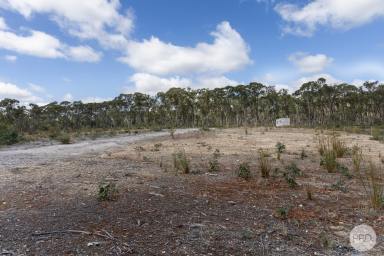Residential Block For Sale - VIC - Smythesdale - 3351 - The Perfect Canvas For Your Dream Home  (Image 2)