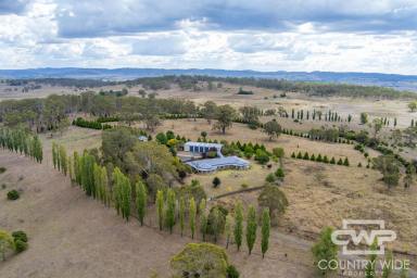 Acreage/Semi-rural For Lease - NSW - Glen Innes - 2370 - Opportunity for Complete Rural Lifestyle Living, Close to Town! (Image 2)
