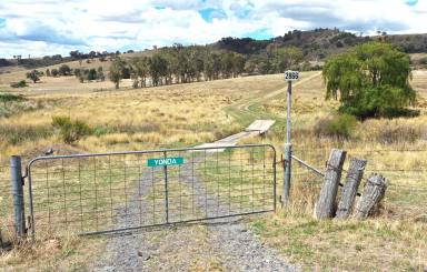 Other (Rural) For Sale - NSW - Taylors Flat - 2586 - "Yonda" & " Anzac"- 243 Acres of Opportunity  (Image 2)