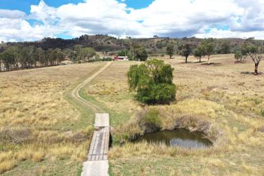 Other (Rural) For Sale - NSW - Taylors Flat - 2586 - "Yonda" & " Anzac"- 243 Acres of Opportunity  (Image 2)