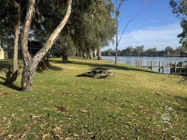 Residential Block For Sale - SA - Punyelroo - 5353 - Everything a riverfront block should be.  (Image 2)