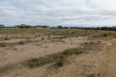 Other (Rural) For Sale - WA - Merredin - 6415 - Whitefield Estate - Land for Sale  (Image 2)