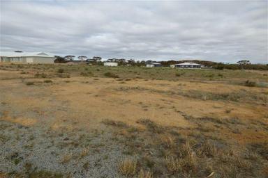 Other (Rural) For Sale - WA - Merredin - 6415 - Whitefield Estate - Land for Sale  (Image 2)