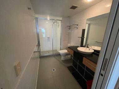 Studio Leased - QLD - Pelican Waters - 4551 - TEMPORARY SHORT TERM ACCOMMODATION PELICAN WATERS CALOUNDRA  (Image 2)