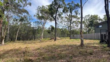 Residential Block For Sale - QLD - Macleay Island - 4184 - Bushland Backdrop, Water Connected & Just One Neighbour — Walk-to-Beach Lifestyle (Image 2)